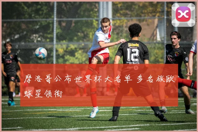 摩洛哥公布世界杯大名单 多名旅欧球星领衔
