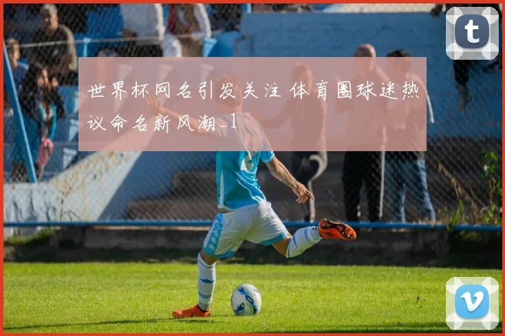 世界杯网名引发关注 体育圈球迷热议命名新风潮_1