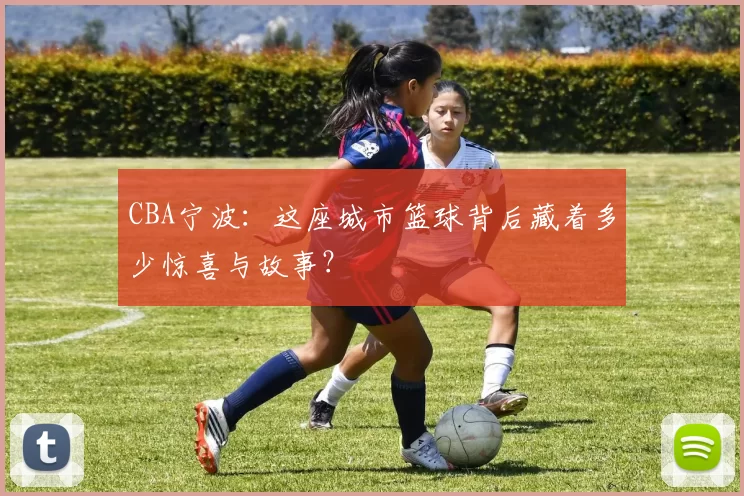 CBA宁波:这座城市篮球背后藏着多少惊喜与故事?