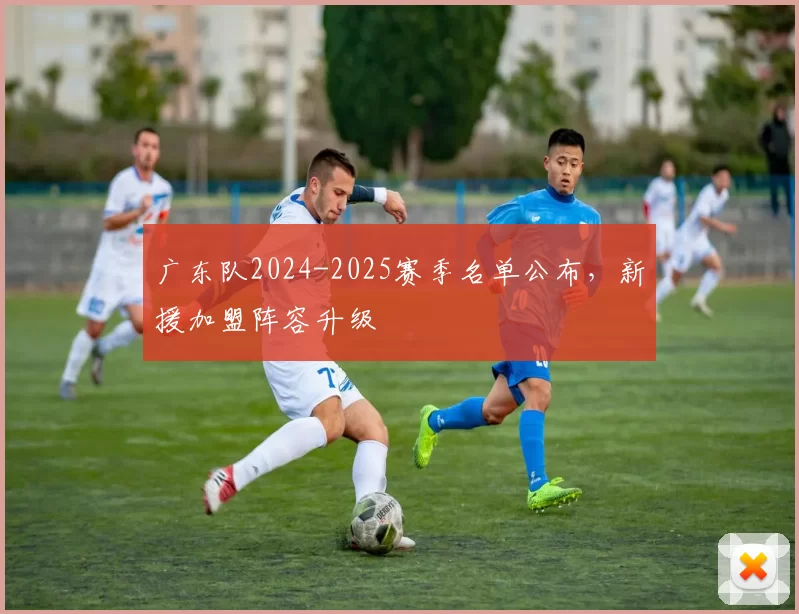 广东队2024-2025赛季名单公布，新援加盟阵容升级