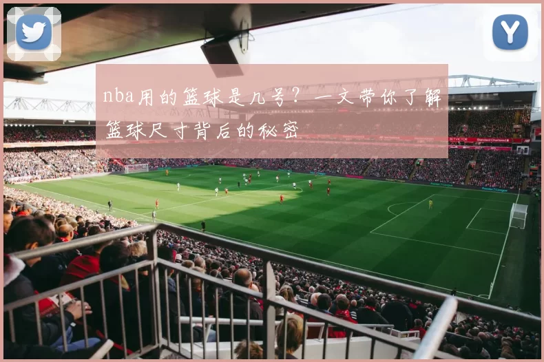 nba用的篮球是几号？一文带你了解篮球尺寸背后的秘密