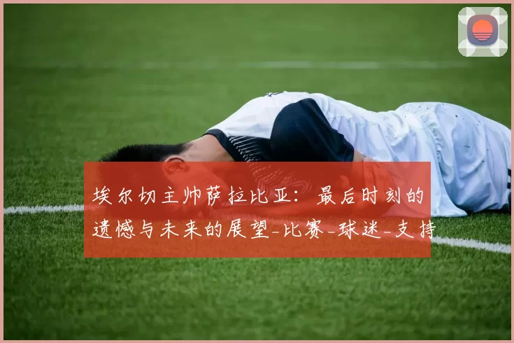 埃尔切主帅萨拉比亚:最后时刻的遗憾与未来的展望_比赛_球迷_支持